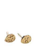 Drop Nature Earsticks Accessories Jewellery Earrings Studs Gold Pernil...
