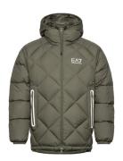 Down Jacket Vuorillinen Takki Topattu Takki Grey EA7