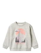 Sweatshirt L/S Ellis Tops Sweat-shirts & Hoodies Sweat-shirts Grey Whe...