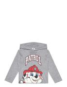 Tshirt Tops Sweat-shirts & Hoodies Hoodies Grey Paw Patrol