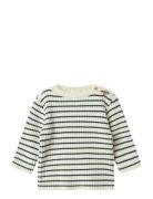Nbmostripe Ls Knit Tops Knitwear Pullovers Cream Name It