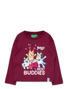 T-Shirt L/S Tops T-shirts Long-sleeved T-shirts Burgundy United Colors...