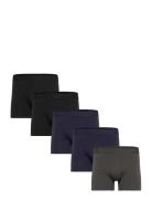 Claudio 5-Pack Tights Bokserit Multi/patterned Claudio