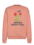 Flowers Dusty  Bear Sweatshirt Tops Sweat-shirts & Hoodies Sweat-shirt...