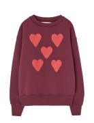Hearts Browned Farnet Bear Sweatshirt Tops Sweat-shirts & Hoodies Swea...