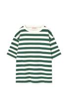 Stripes Freen Collie T-Shirt Tops T-shirts Short-sleeved Green THE ANI...