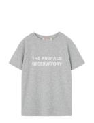 Frey Orion T-Shirt Tops T-shirts Short-sleeved Grey THE ANIMALS OBSERV...