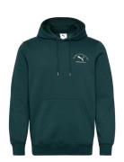 Puma Class Graphic Hoodie Fl Tops Sweat-shirts & Hoodies Hoodies Green...