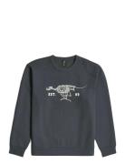 Running Dog Back Gr R Sw Tops Sweat-shirts & Hoodies Sweat-shirts Grey...