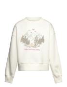 Embroidered Cotton Sweatshirt Tops Sweat-shirts & Hoodies Sweat-shirts...