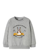 Nmmroval Ls Sweat Bru Box Tops Sweat-shirts & Hoodies Sweat-shirts Gre...