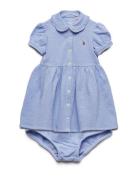 Knit Mesh Oxford Dress & Bloomer Mekko Ralph Lauren Baby