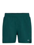 Aero 5 Inch Shorts Sport Shorts Sport Shorts Green 2XU