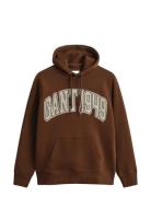 Graphic Hoodie Tops Sweat-shirts & Hoodies Hoodies Brown GANT