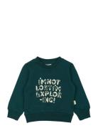 Ppdov Sweat Shirt Tops Sweat-shirts & Hoodies Sweat-shirts Green Petit...