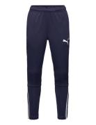 Teamliga Training Pants Jr Bottoms Sweatpants Navy PUMA