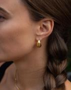 Muli Collection - Kulta - Midi drop Earring