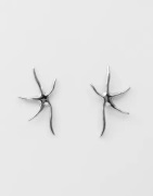 Pilgrim - Hopea - Prism Earrings