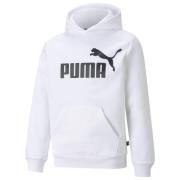 PUMA Huppari Essentials Big Logo - Harmaa/Musta Lapset
