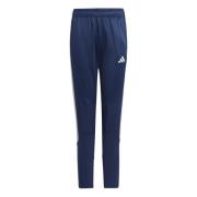 adidas Treenihousut Tiro 23 Winterized Club - Navy/Hopea Lapset