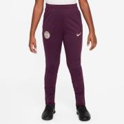 Paris Saint-Germain Treenihousut Dri-FIT Strike - Bordeaux/Geode Teal/...