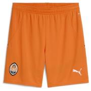 Puma FC Shakhtar Donetsk 24/25 Shorts Men